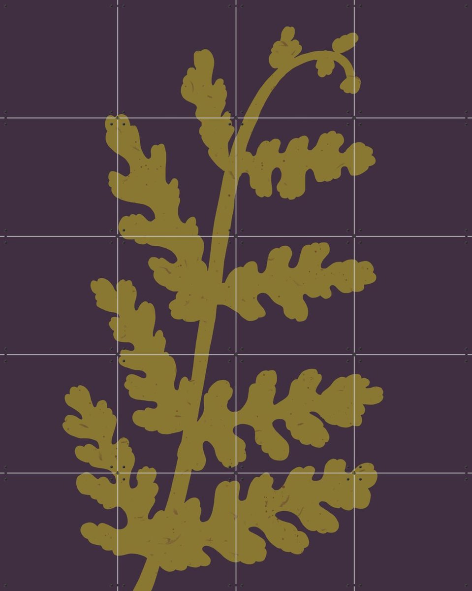 IXXI Fern, Lotte Dirks - 80 x 100 cm - Gratis ophangtool - Grote wanddecoratie en posters - Illustraties, Abstract, Woonkamer, Studeerkamer