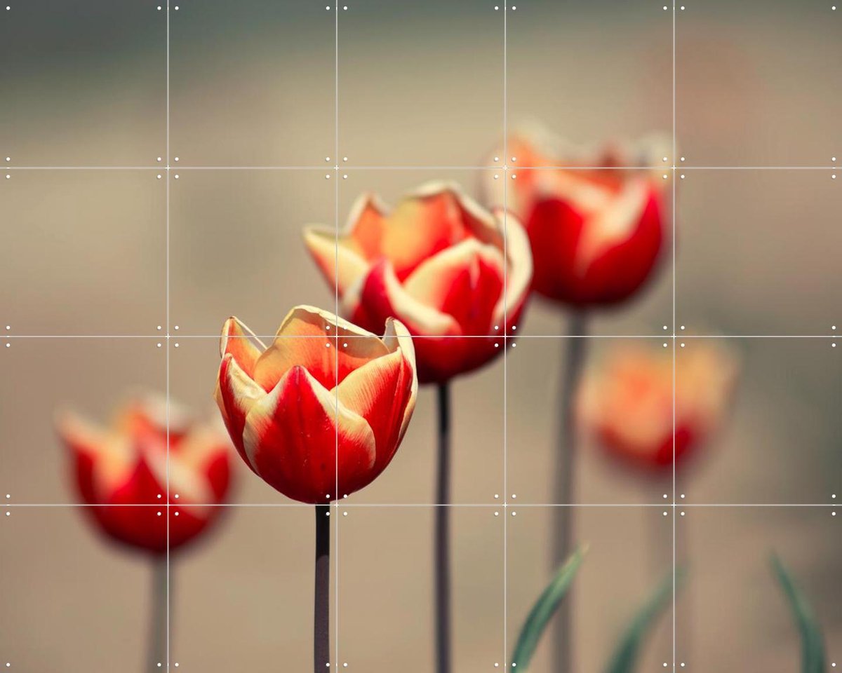 IXXI Dancing Tulips, Claire Droppert - 100 x 80 cm - Gratis ophangtool - Grote wanddecoratie en posters - Fotografie, Woonkamer, Slaapkamer, Gang