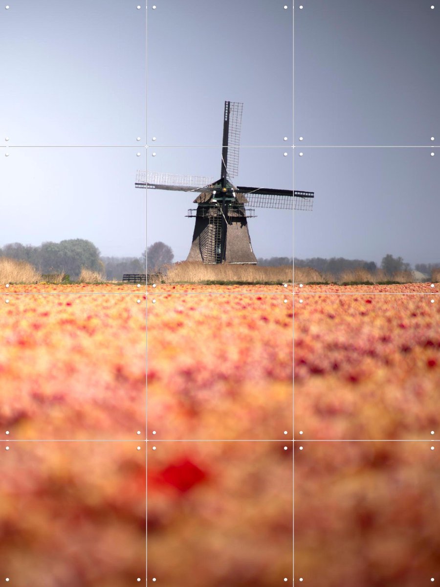 IXXI Windmill in Bloom, Claire Droppert - 60 x 80 cm - Gratis ophangtool - Grote wanddecoratie en posters - Fotografie, Woonkamer, Studeerkamer, Gang