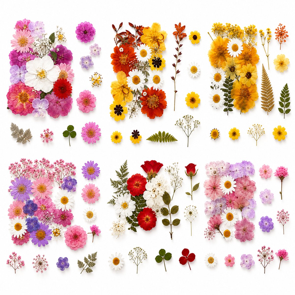 BOTC Natuurlijk Gedroogde Bloemen - Droogbloemen - 108 Stuks - Gedroogde Bloemen Set van 6 stuks - Echte Gedroogde Bloemen en Vlinders voor Resin Art, Sieraden Maken, Scrapbooking en DIY Decoratie Geel, rood, roze