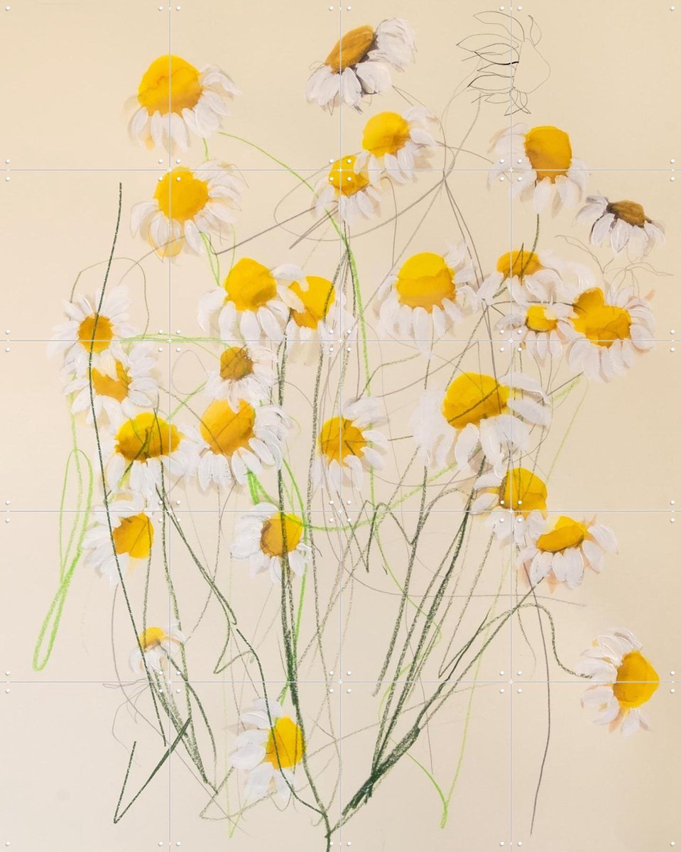 IXXI Chamomile No. 1, Leigh Viner - 80 x 100 cm - Gratis ophangtool - Grote wanddecoratie en posters - Abstract, Schilderijen, Slaapkamer, Woonkamer