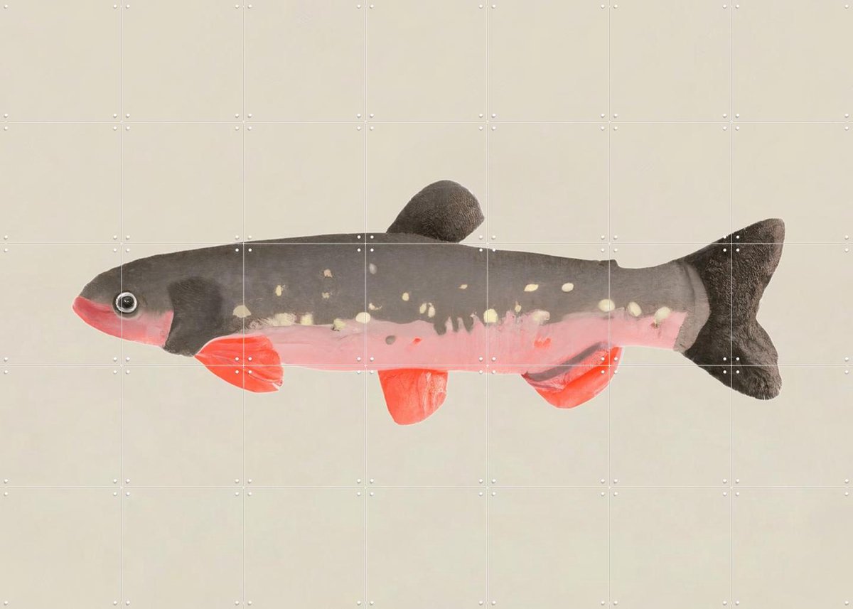 IXXI Still Fishy, Interiorisla - 140 x 100 cm - Gratis ophangtool - Grote wanddecoratie en posters - Illustraties, Woonkamer, Trap, Studeerkamer
