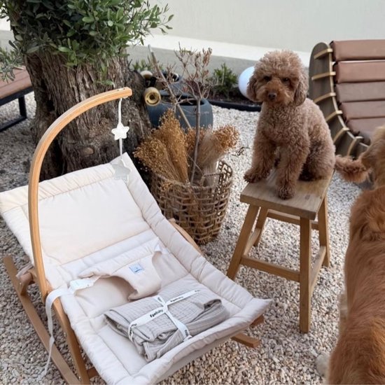 Baby Bouncer Nude - Wipstoel - BabyRace — afbeelding 4