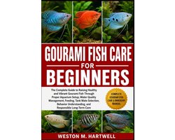 Gourami Fish Care for Beginners