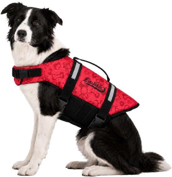 Border collie zit met een rood Evo Nautic zwemvest met pootafdrukken en botjes.