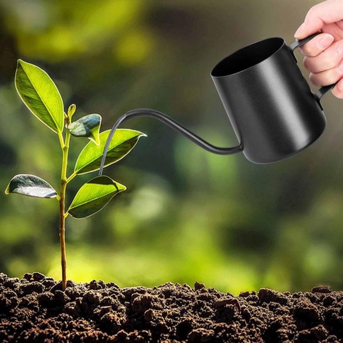 Roestvrije gieter voor kamerplanten, 350 ml, zwart