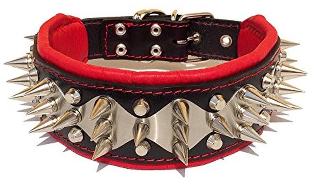 Solidchoice - Hondenhalsband van Echt Leer met Roestvrijstalen Decoratie