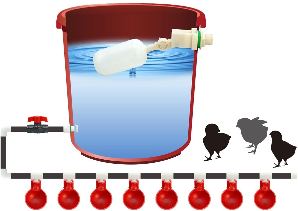 Solidchoice - Automatisch Drinksysteem voor Pluimvee