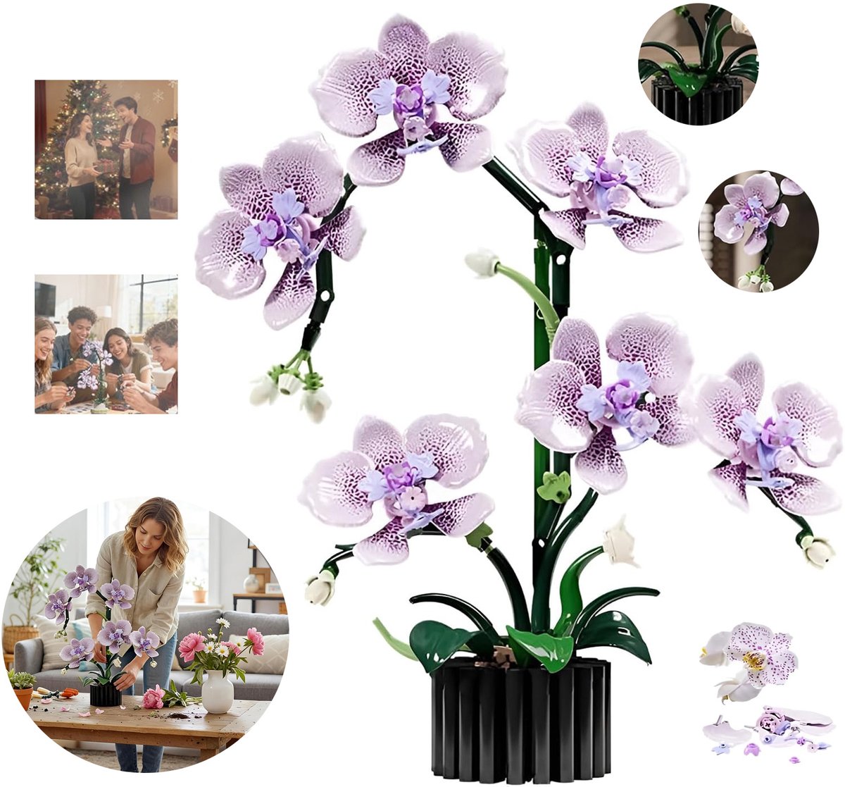Phalaenopsis Bouwblokkenset, Kunstbloemen Botanische Set, Woondecoratiecadeau, Creatieve Botanische Collectie Boeketbouwset.