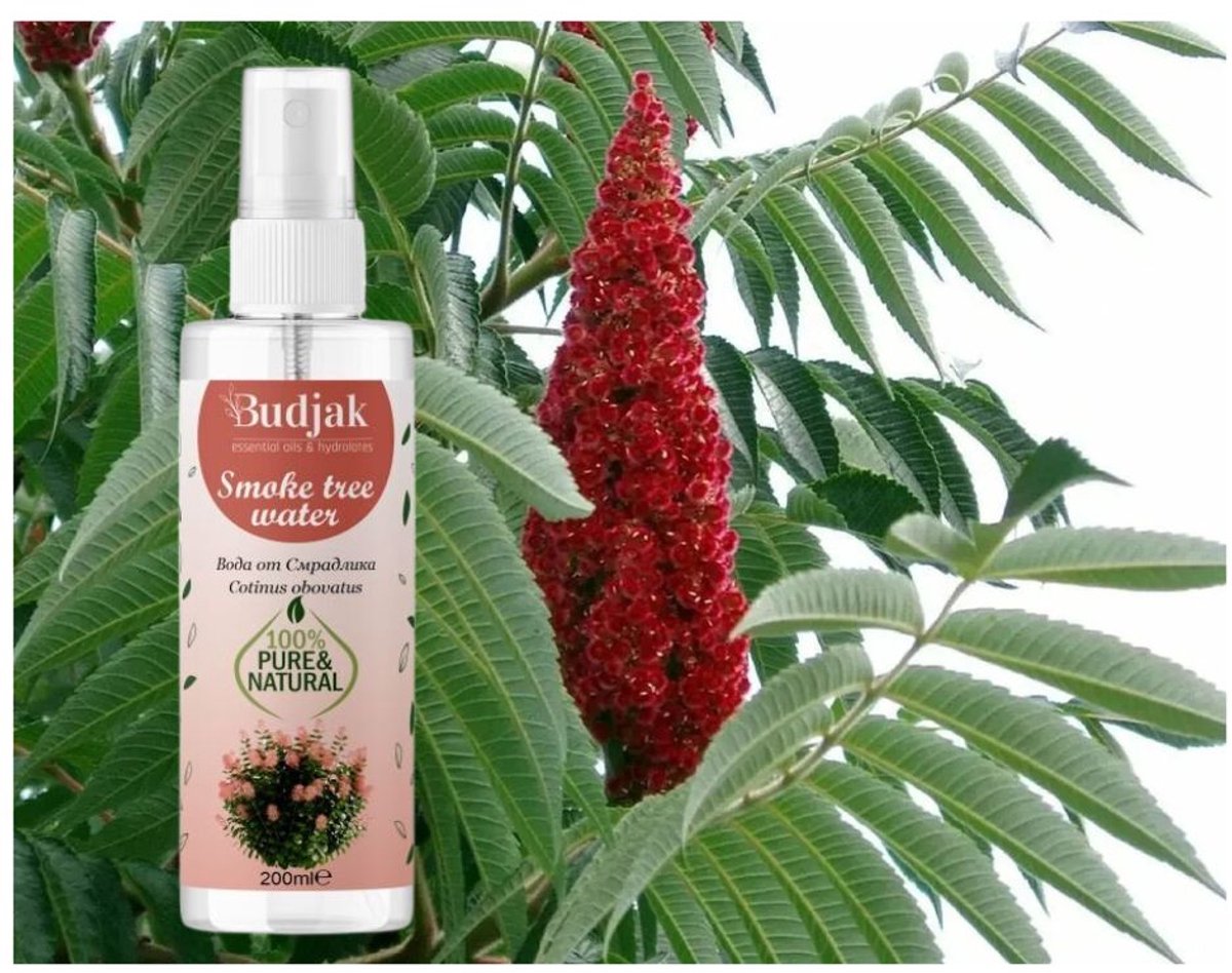 Biologische Sumak / Tetra (Cotinus coggygria) bloemenwater - acne geïrriteerde huid - vaginale - zuivert 200ml