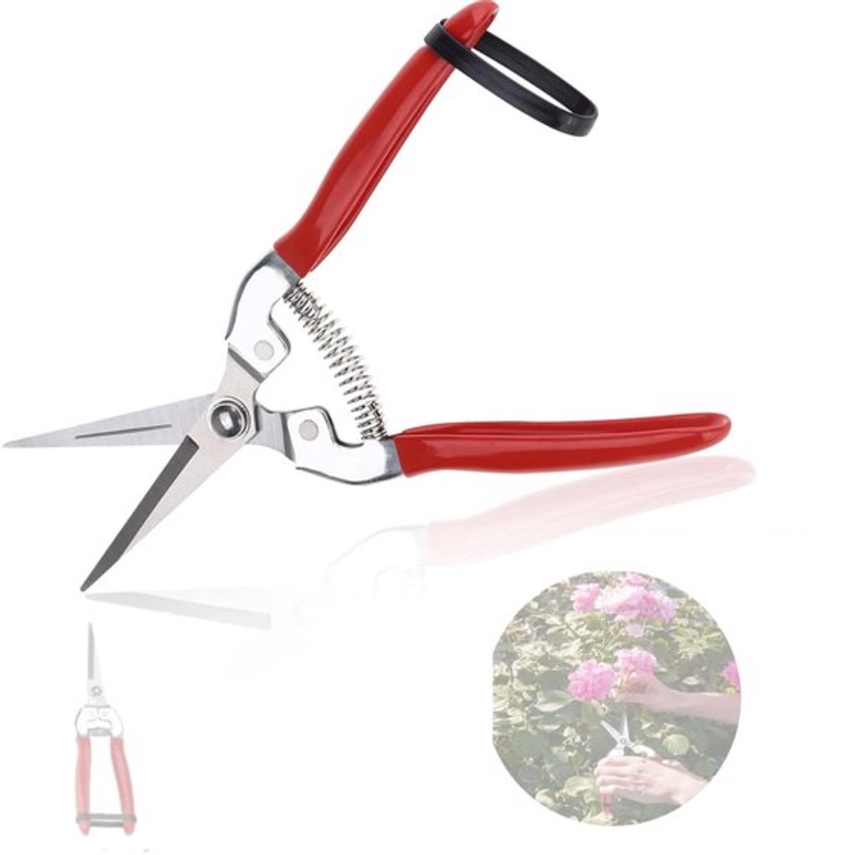 Plantenschaar - Snoeischaar - Takkenschaar - Oogstschaar - Voor Tuin/Bonsai - Geschikt voor Planten/Bloemen/Rozen