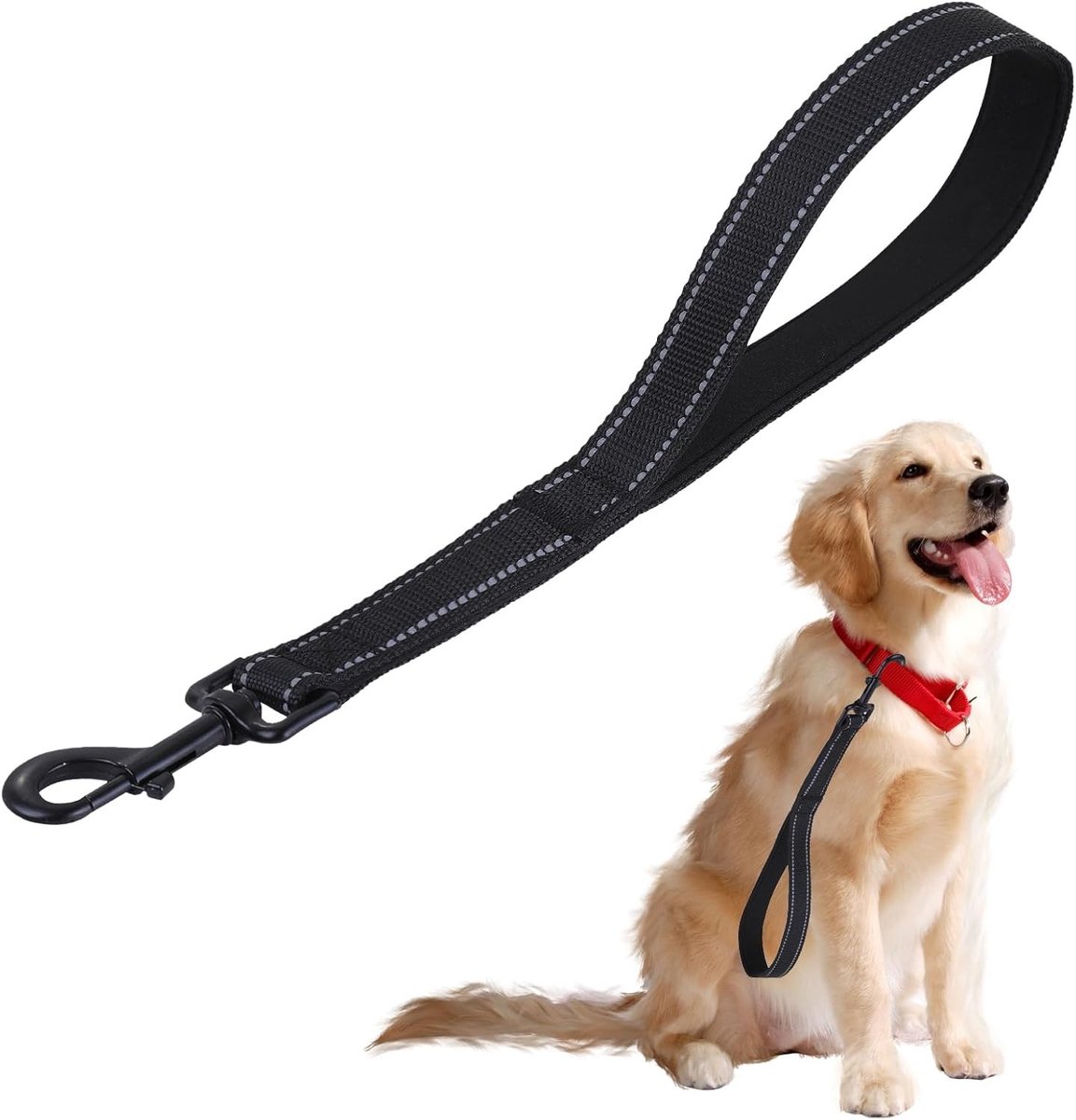 Hondenriem - Zwart - 30 cm - Duurzaam Nylon met Gewatteerd Handvat - Voor Grote, Middelgrote en Kleine Honden