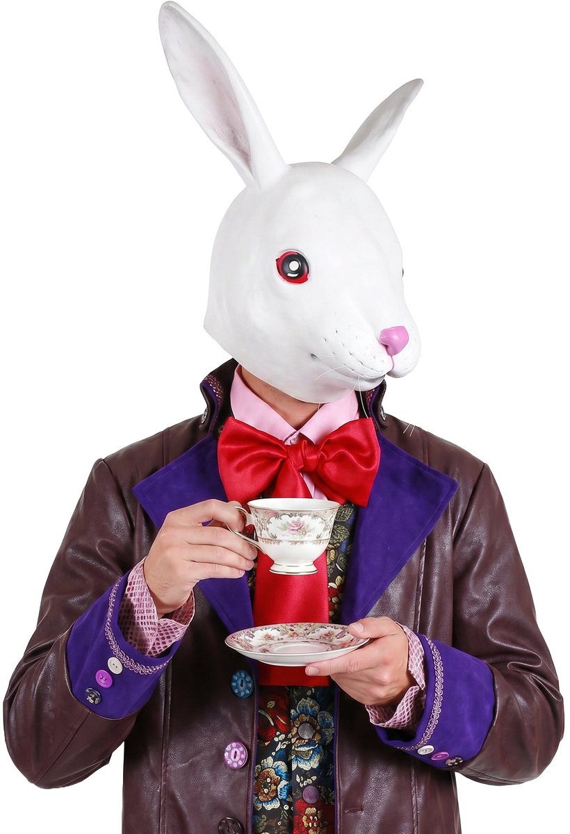 Wit Konijn Masker Van Latex