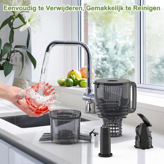Lìon® Sapcentrifuge - 148 mm - En Groentesapcentrifuge - Slowjuicer - Fruit-Zwart - 16cm x 14cm x 30cm van Lion — afbeelding 4