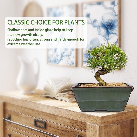 Bonsai potten set van 2 - keramisch - met drainagegaten - geschikt voor Japanse bonsai - SnelShoppen — afbeelding 2