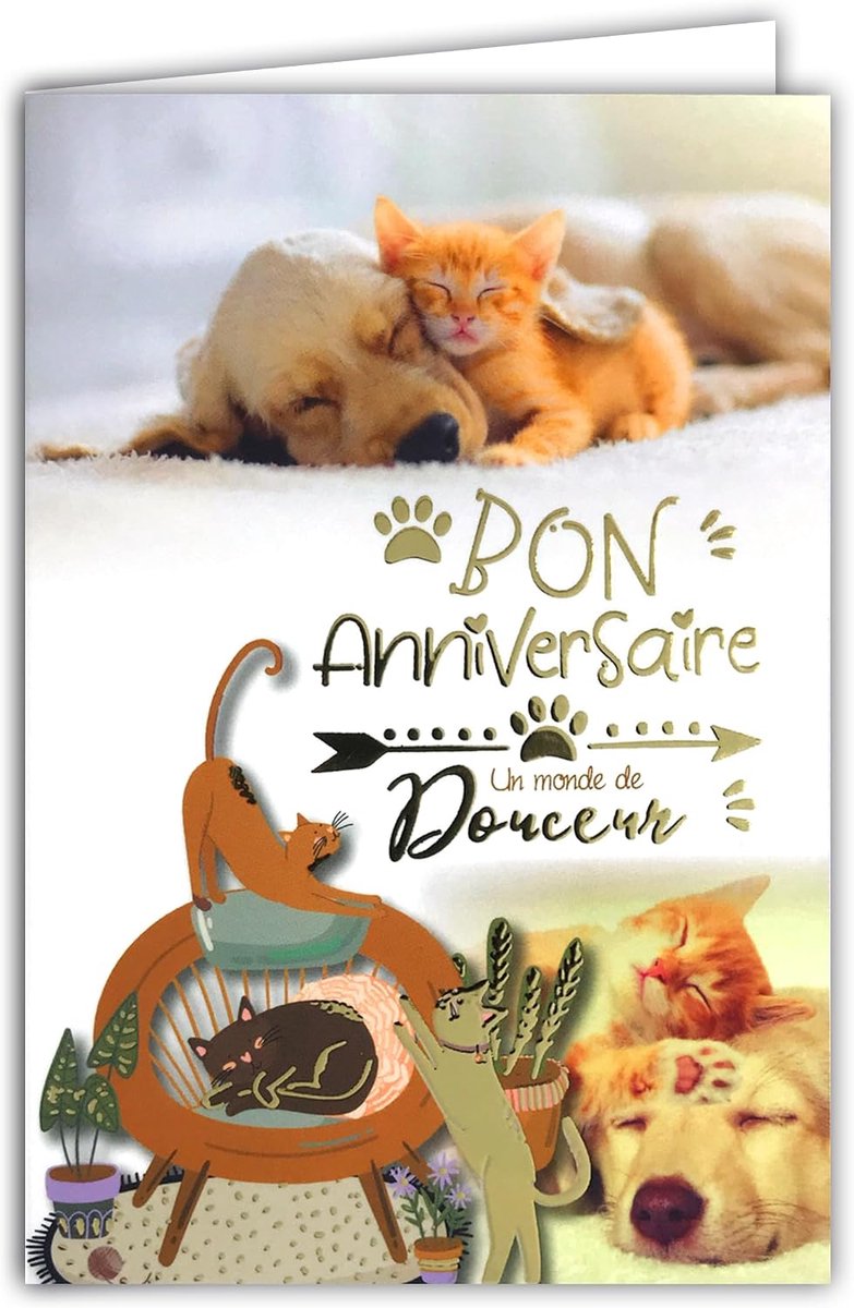 Verjaardagskaart 11.5x17 cm - Schattige katten en honden - Vintage illustratie - Perfect voor dierenliefhebbers - SnelShoppen