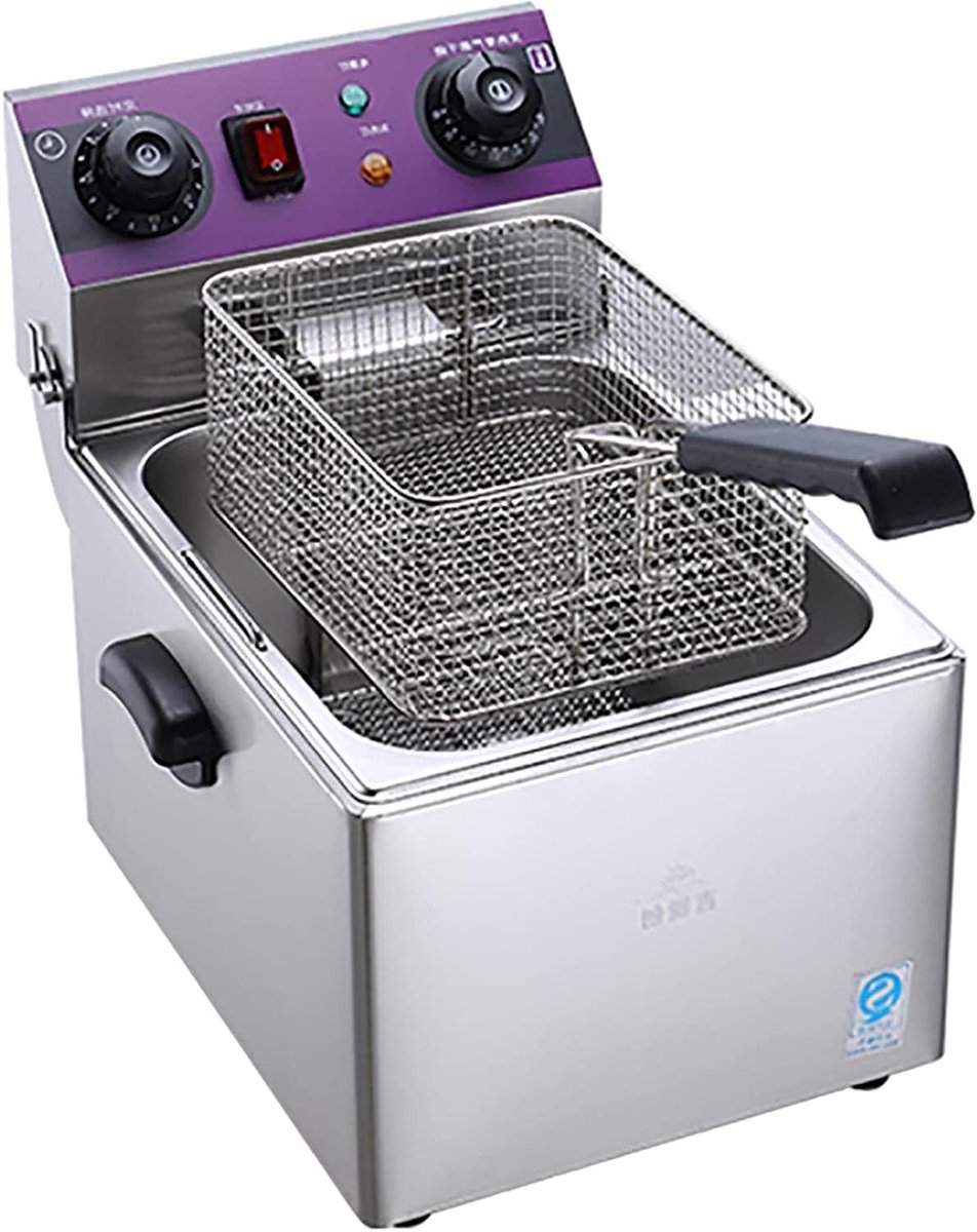 Elektrische Frituurpan - Friteuse Professionele Frituurpan - Thuis Frituren - Snelle Verwarming - 10L - Zilver