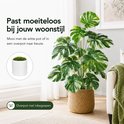 Plante artificielle verte Monstera avec des feuilles tachetées multicolores dans un pot blanc, placée dans un salon.
