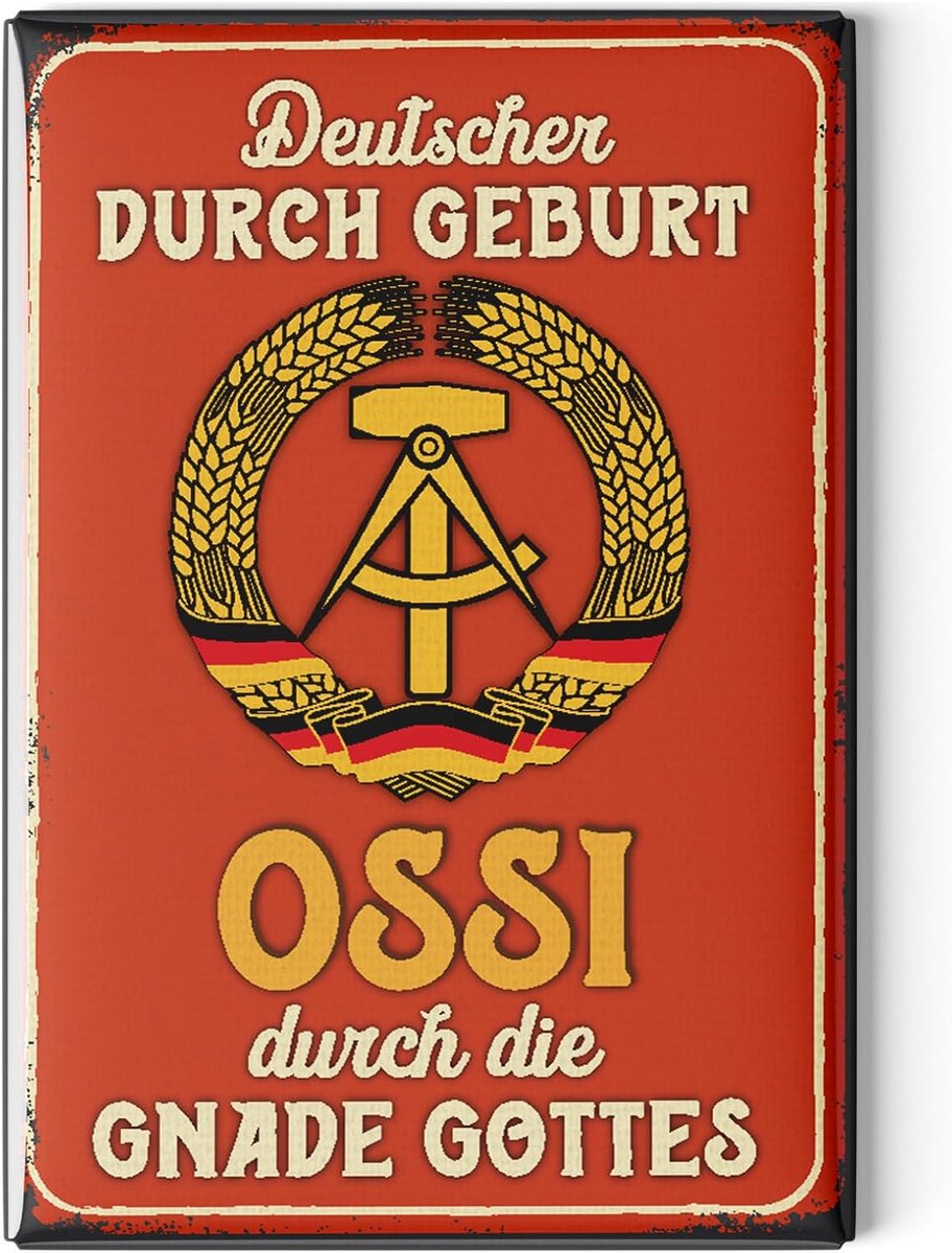 Koelkastmagneten grappig 8 x 5,5 cm - retro design - spreuken en motieven - breng vreugde in je huis - ShopVlot