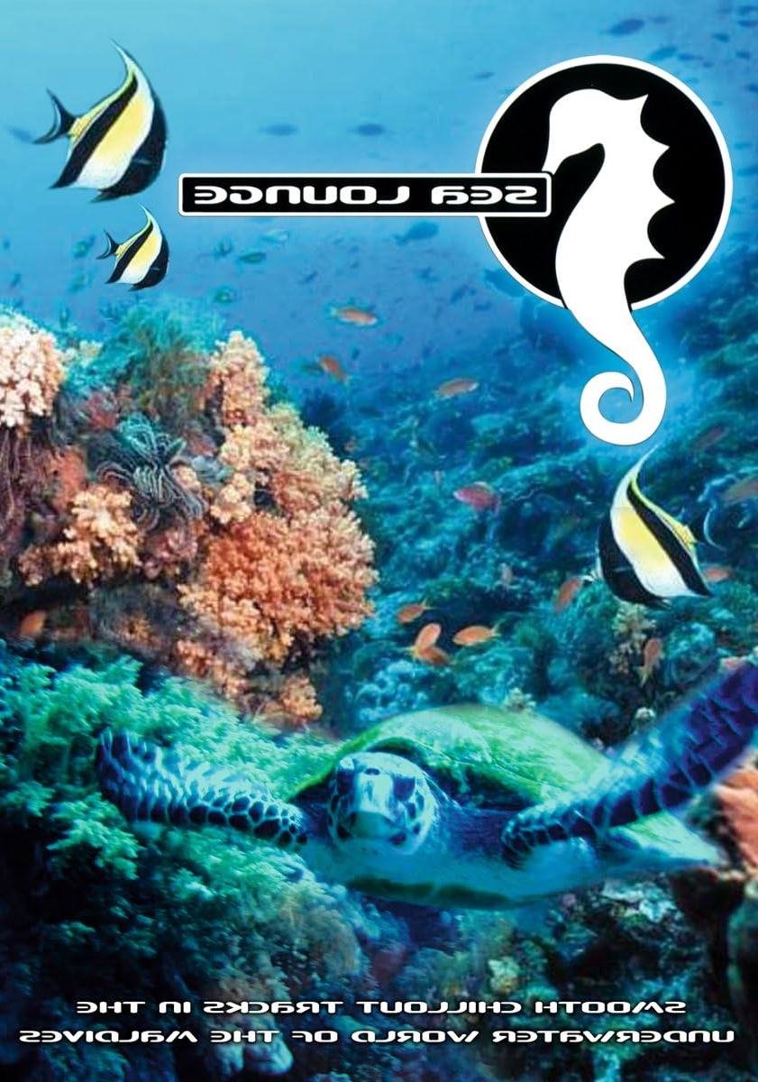 Zitzak - Zonnedek - Ontspannen buiten - Waterafstotend - 18 x 13 x 1 cm - Blauw