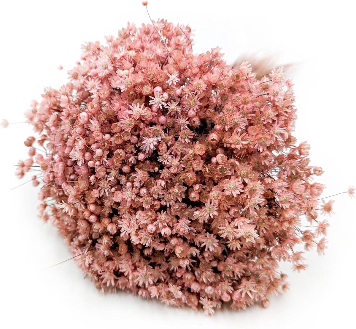 Gedroogde bloemen - Decoratiegras - Huis decoreren - Natuurlijk en duurzaam - 35 cm lengte - Roze