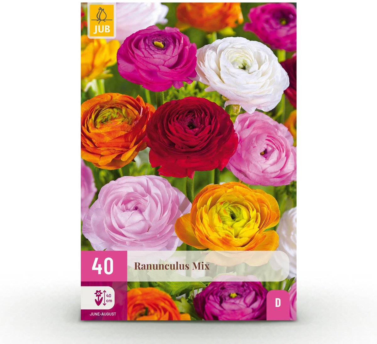 Bloembollen - Ranunculus Mix - Diversen Kleuren - 40 stuks - Bolmaat 5/6 - XXL Pack