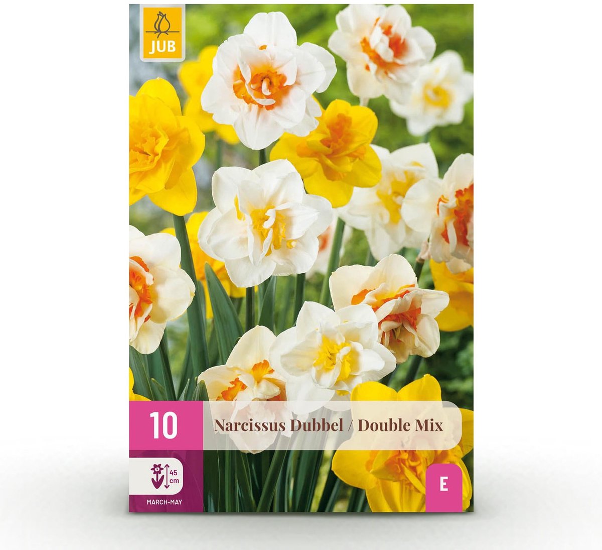 Bloembollen - Narcis Double mix - Kleur Geel en Wit - 10 stuks - Bolmaat 12/14 - XXL Pack