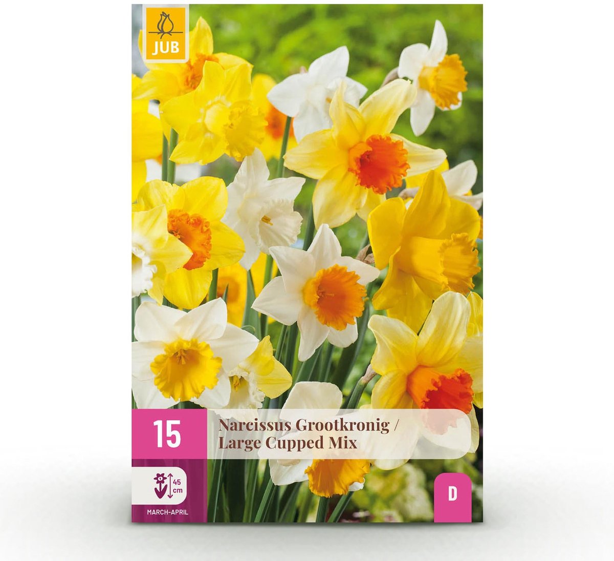Bloembollen - Narcis Large Cupped mix - Kleur Geel en Wit - 15 stuks - Bolmaat 12/14 - XXL Pack