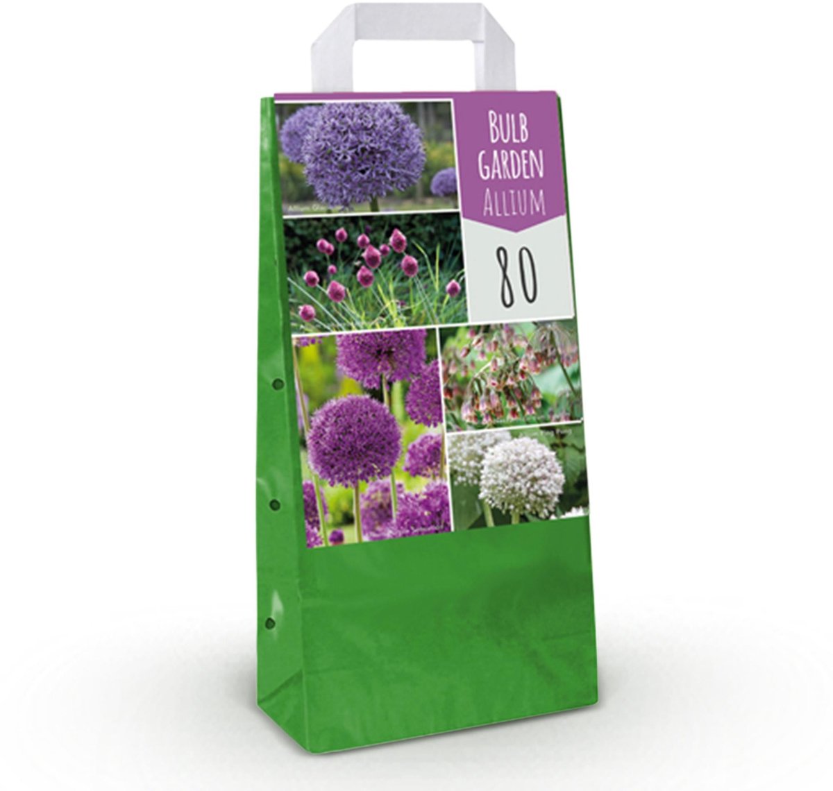 Bloembollen - Bulb Garden Allium mix - Diversen Kleuren - 80 stuks - Gift Verpakking