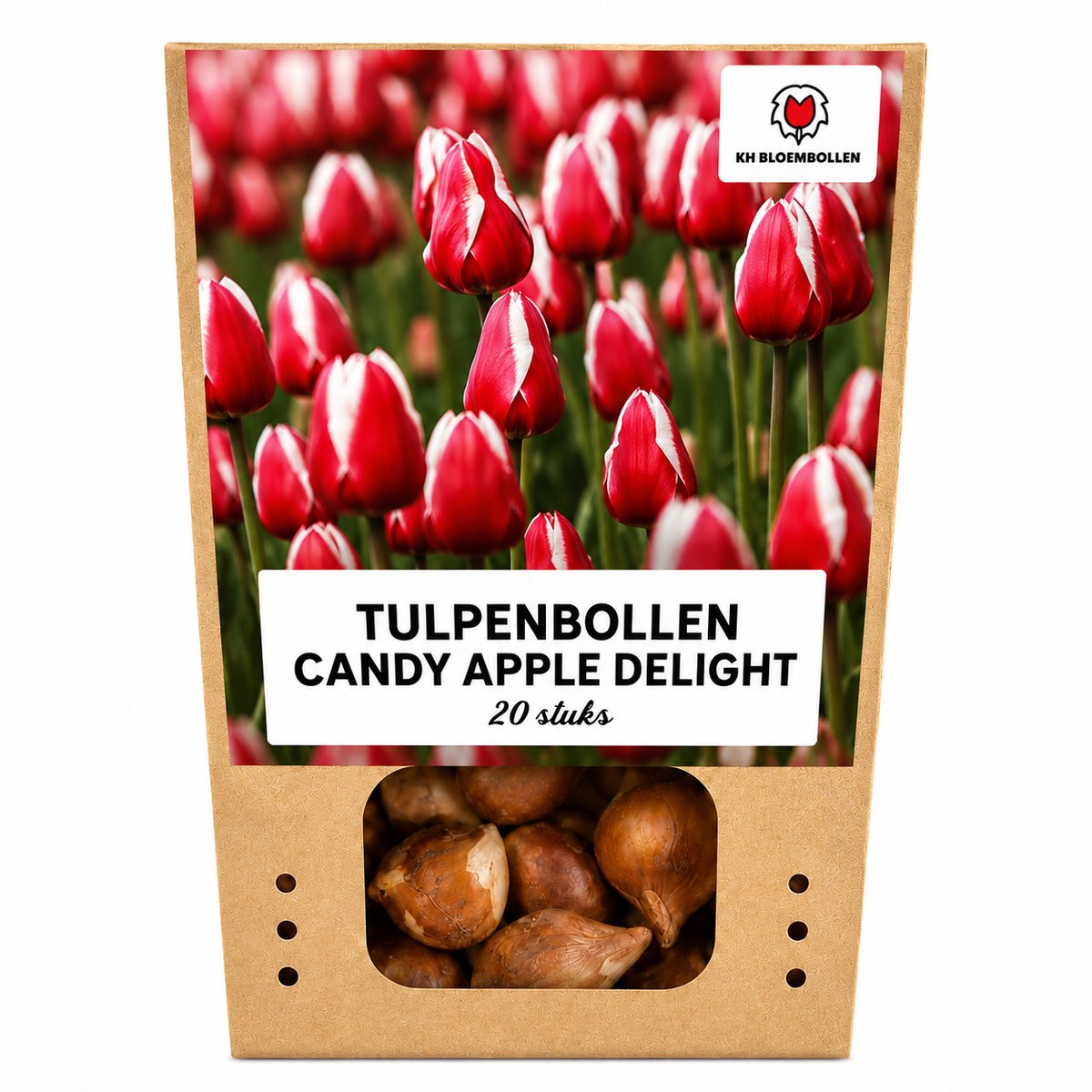 Tulpenbollen Candy Apple Delight – 20 Stuks | KH Bloembollen® | Rood-Witte Tulp – Frisse & Vrolijke Mix – Cadeau voor Tuin of Pot – Maat 11/12 – Vers van de Teler!