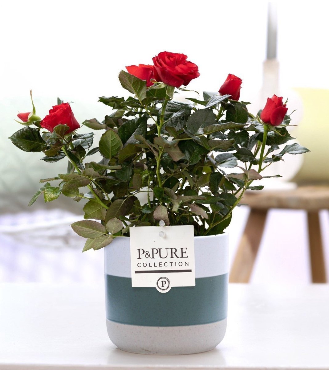 Rosa Red In P&PURE Lauren Ceramics - Ø12cm - 30cm