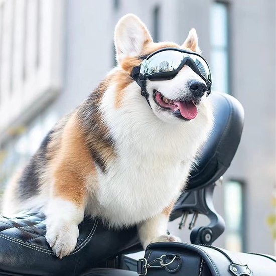 UV-veiligheidsbril voor honden; verstelbare hondenzonnebril; hondenbril beschermt de ogen van je hond; veiligheidsbril, waterdicht, winddicht, anti-condensbril, oogbescherming voor groot/middelgrote — afbeelding 2