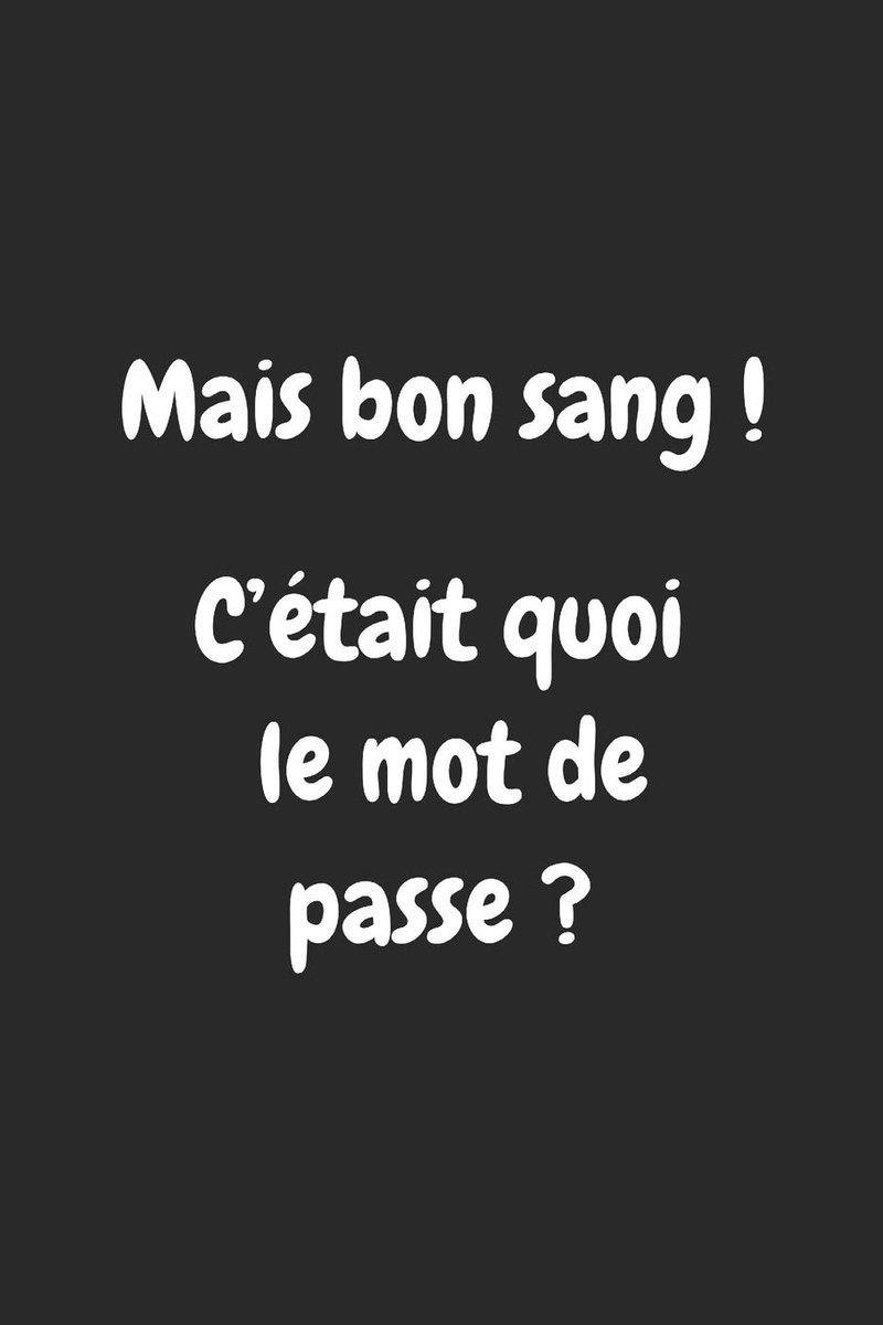 Bon sang ! C'était quoi le mot de passe ?: Carnet de mots de passe français, répertoire alphabétique pour codes secrets et mots de passe - conseils pour protéger les mots de passe