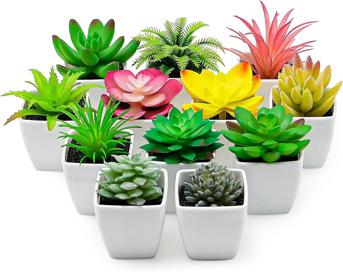 12 Stuks Kunstplanten - Mini Succulenten in Potjes - Lifelike Decoratie voor Tafel en Tuin - ShopVlot