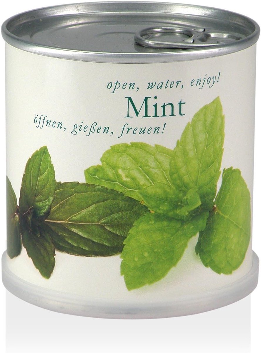 Planten in een blik - munt - biologische zaden - Groei je eigen muntbloemen! - ShopVlot