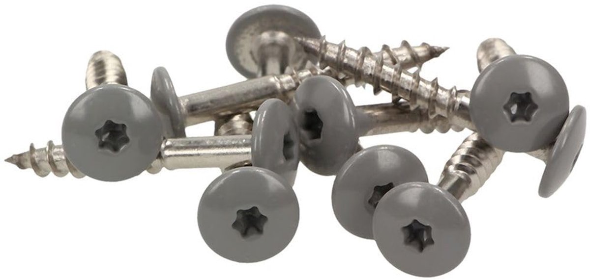 gevelschroeven 5.5 x 25 mm - inox V4A - platkop - ideaal voor gevels - ShopVlot