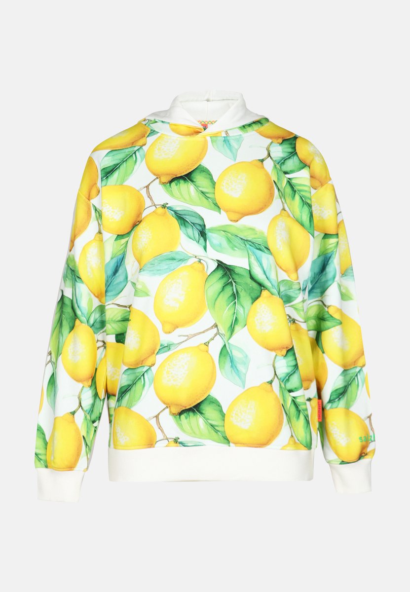 salzhaut Hoodie BARCH