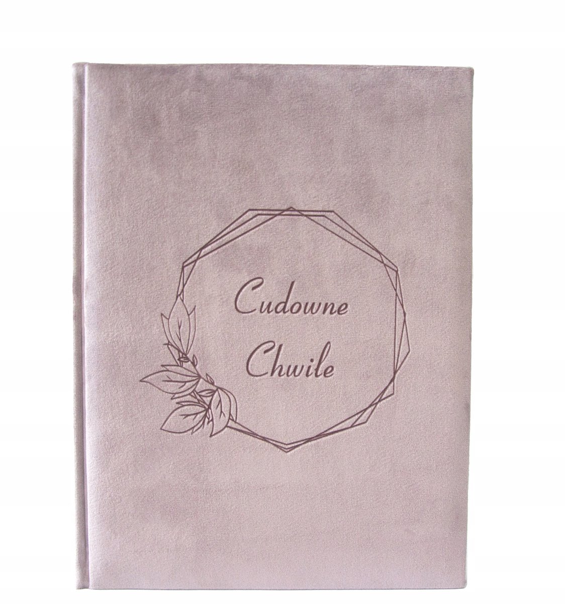 Dames Fotoalbum 10x15 - 120 Foto's - Zacht Roze Velours