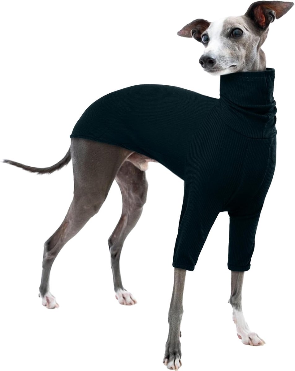 Jas, windhond trui Italiaanse windhond jas Whippet puppy trui Whippet kleding windhond trui (donkergroen, XS)
