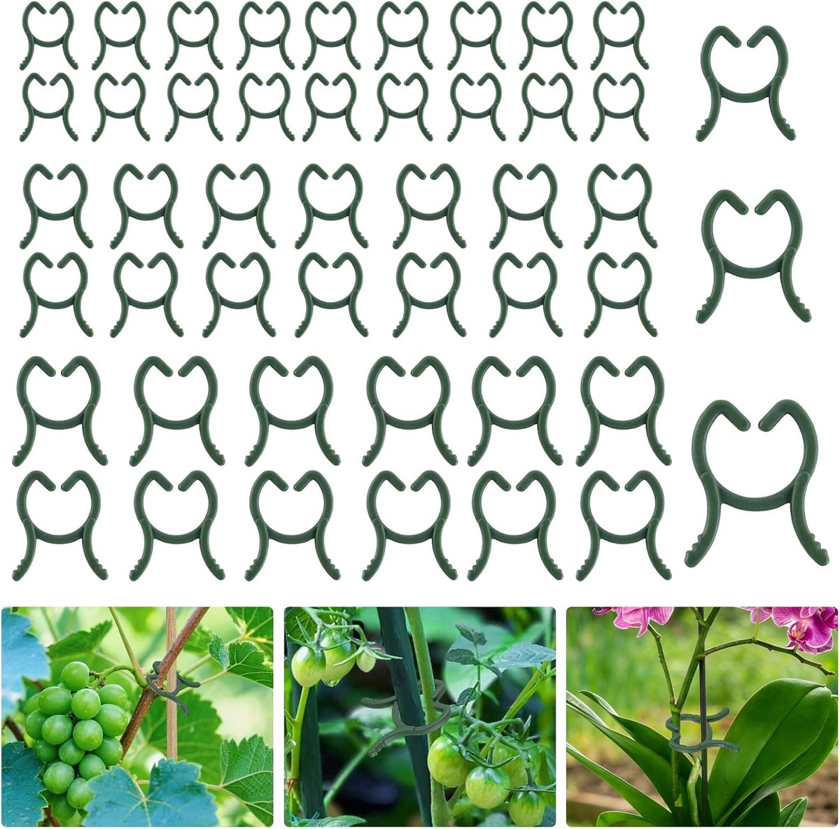150 stuks kleine plantenclips, groen, plantenclips, plantenklemmen, klein, 3 maten, plantenclips voor klimplanten, tomatenclips, herbruikbaar, voor ondersteuning van planten, fruitgroenten, bloemen