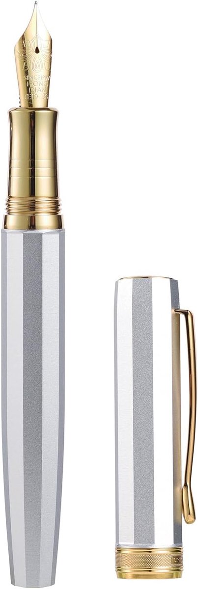 Dian N11 Vulpen, extra fijn goud platina-zilver gecoate zachte penpunt en achthoekig geometrisch ontwerp met metalen behuizing