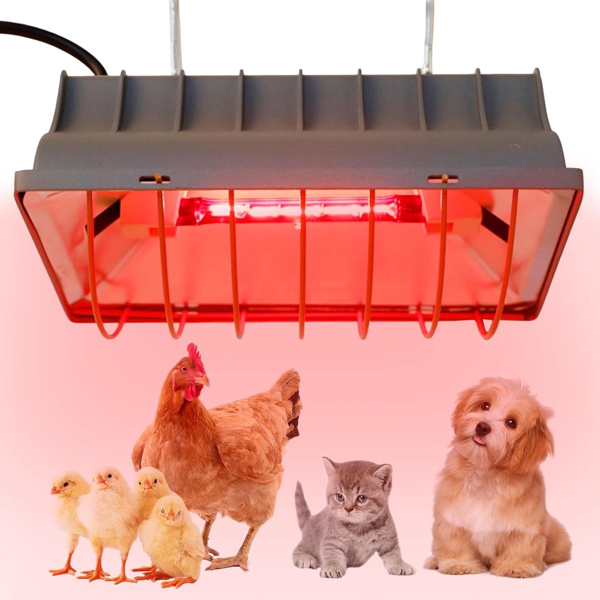 Warmtelamp voor kuikens, 175 W kuikenlamp, kippen verwarmingslamp, automatische thermostaat infraroodlamp voor kippenhok
