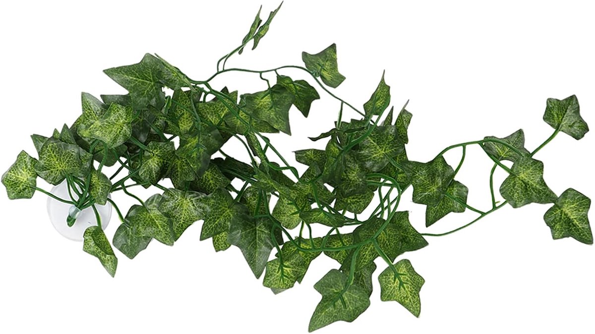 Planten voor reptielen - terrarium jungle setup voor schildpadden, hagedissen, kameleons, slangen en meer - ideale versterking van de regenwoudhabitat (#1) (#8)