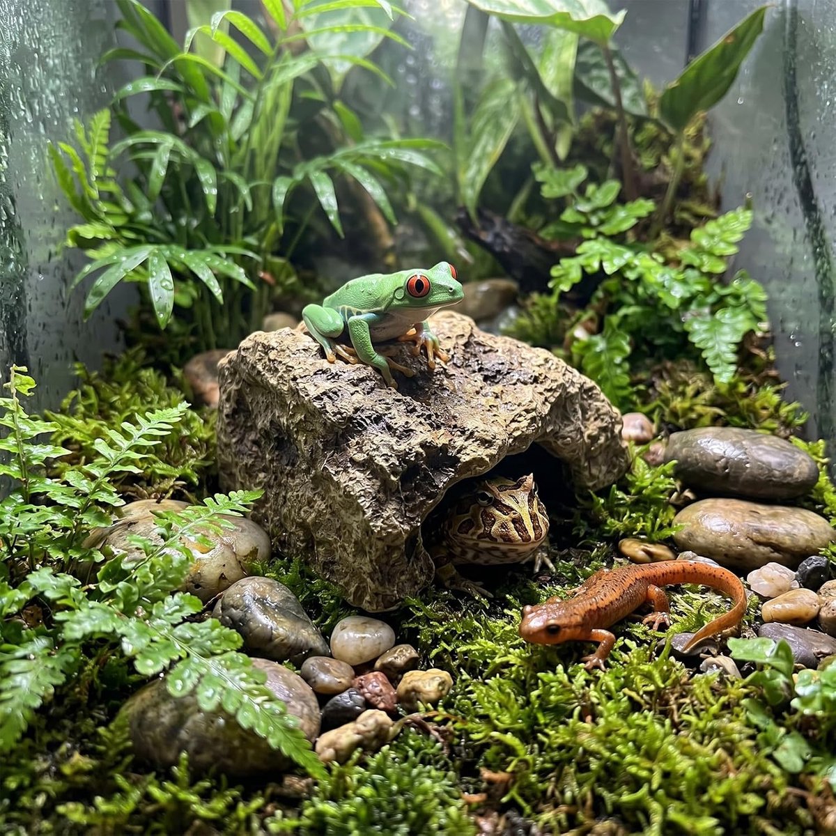 verstopplaats voor reptielen, kunsthars, reptielenverstopplaats, 12,5 × 9 × 7 cm, reptielenstenen, verstopplaats voor reptielen en amfibieën (S)