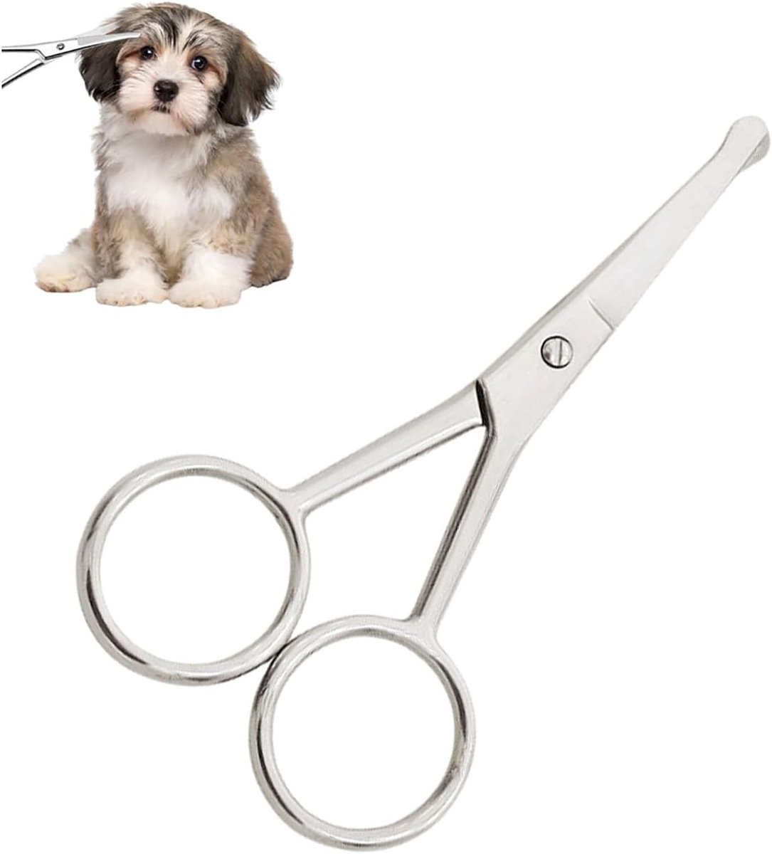 mode haar knippen schaar kit roestvrij staal huisdier verzorging schaar huisdier verzorging schaar veiligheid schaar voor hond en kat lichaam gezicht oor neus poot trimmen