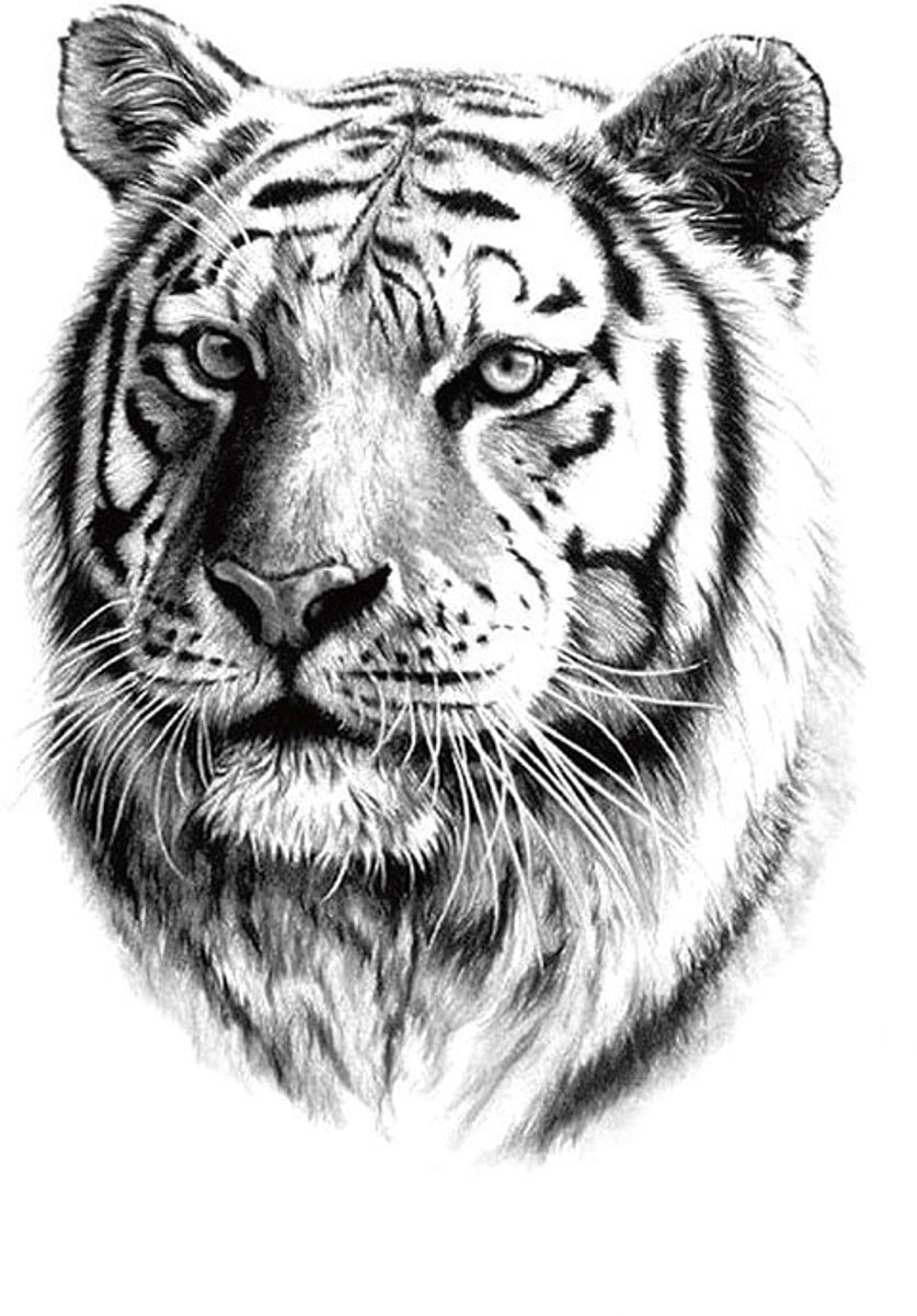 Tijdelijke tattoo tijger tiger 3 dagen