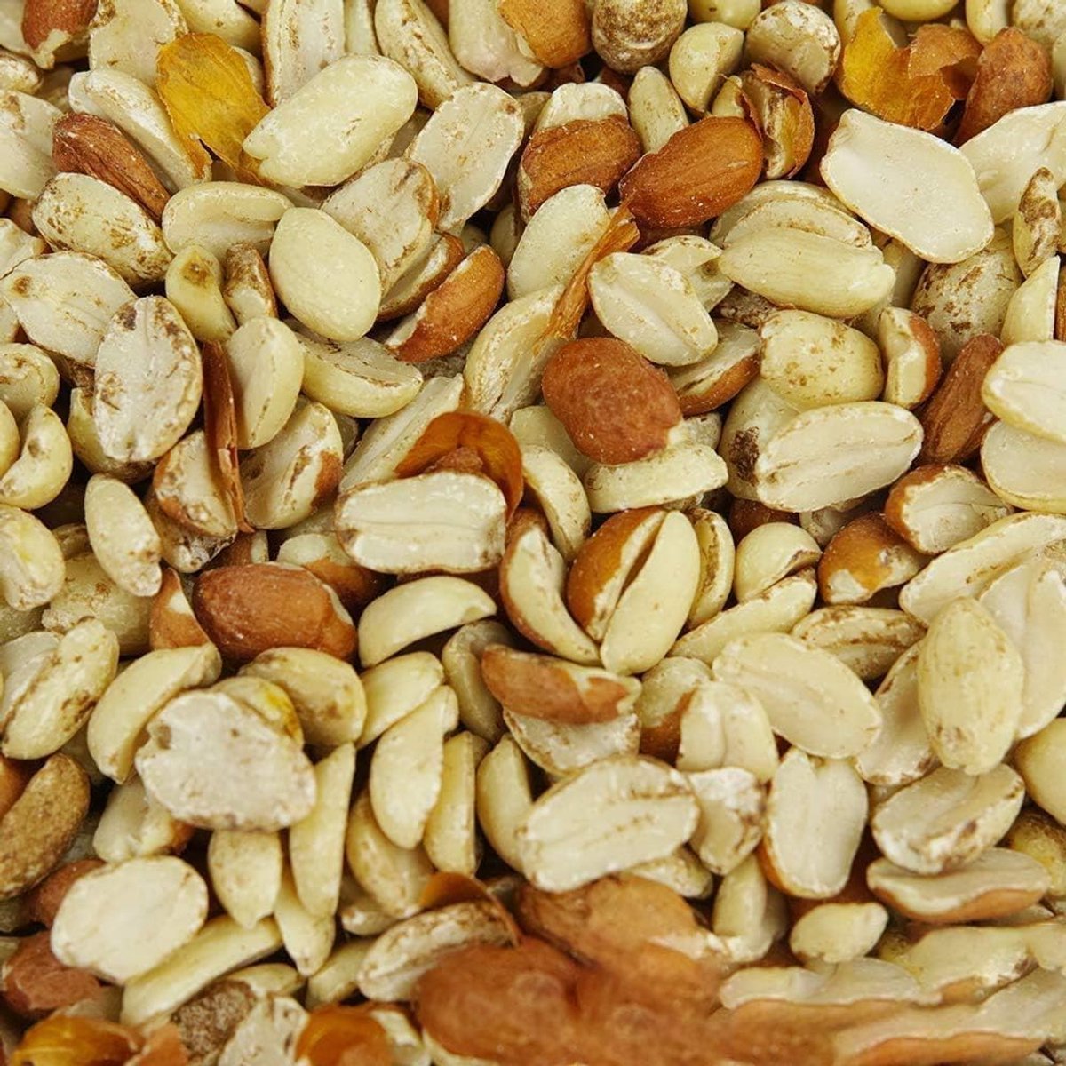 Divisi BusyBeaks - hoogwaardig vers proteïne voor wilde vogels en tuinvogelvoer mix (500 g)