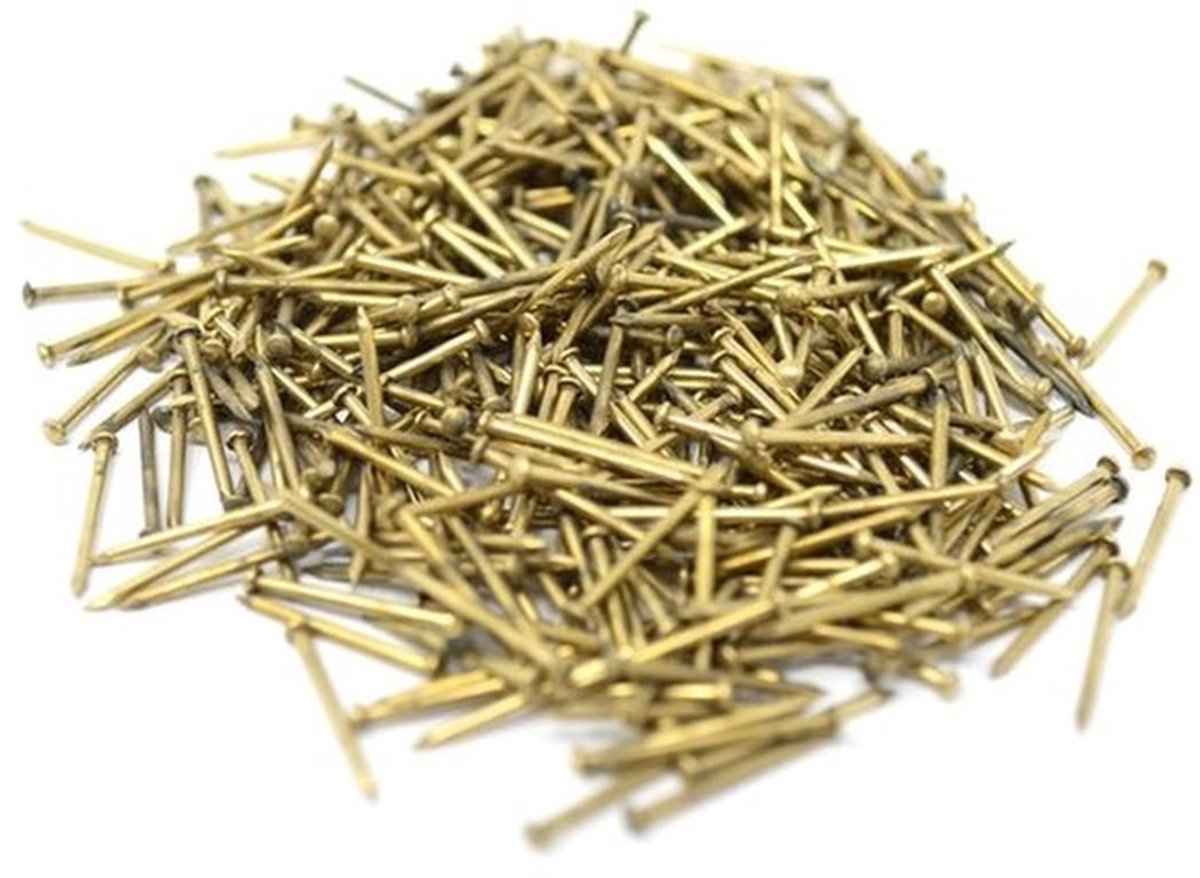 Ronde Kop Spijkers 1,0 x 15 mm - IJzer - 50 g - Ca. 480 Stuks