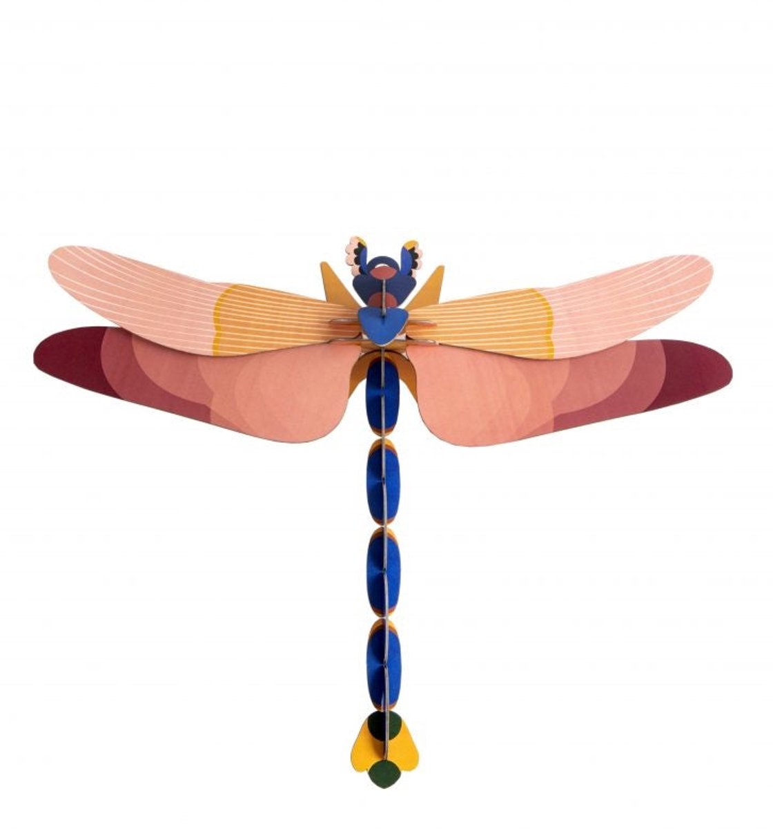 Limited Edition - Giant Dragonfly