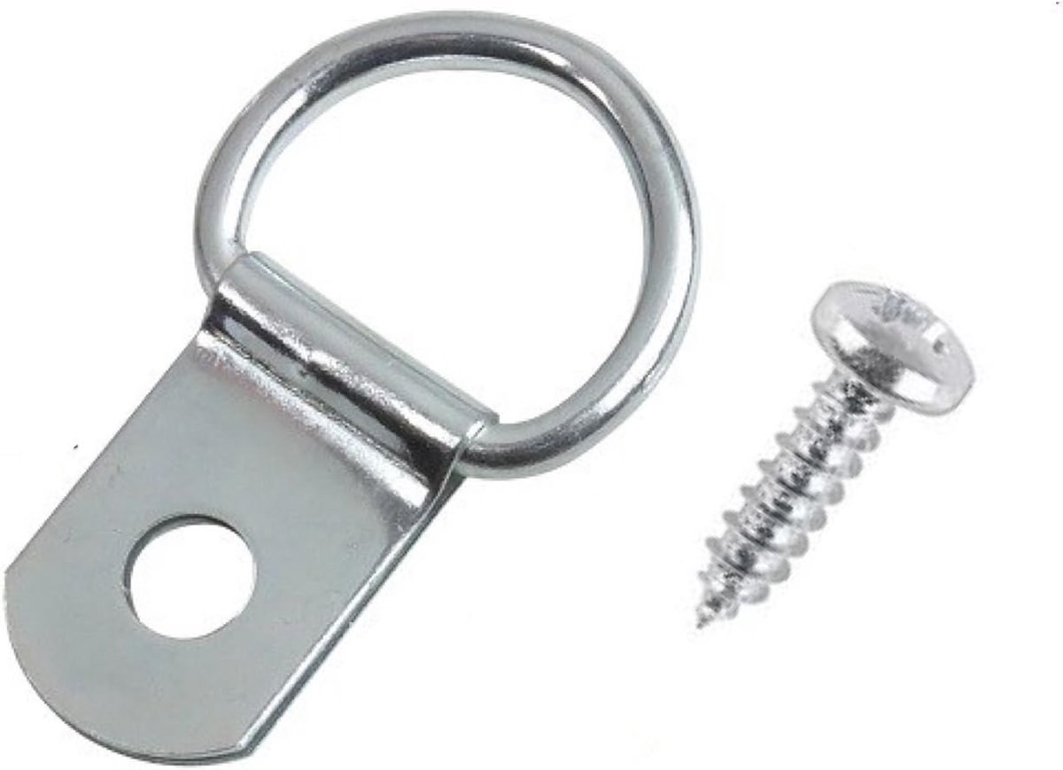 D-rings and screws for hanging picture frames (10 pieces). - ShopVlot